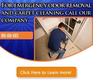 Carpet Services - Carpet Cleaning Sun Valley, CA